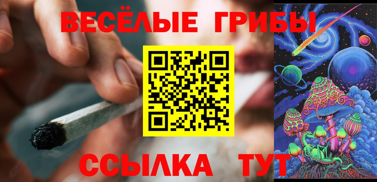 Псилоцибиновые грибы Magic Shrooms  Вход с VPN  Камень-на-Оби 