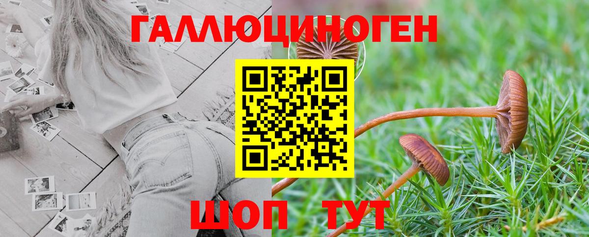 Галлюциногенные грибы MAGIC MUSHROOMS Камень-на-Оби