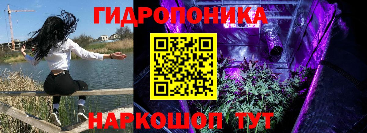 Каннабис SATIVA & INDICA  Вход с VPN  Камень-на-Оби  Каннабис THC 21%  Шишки марихуана VHQ  Каннабис конопля 
